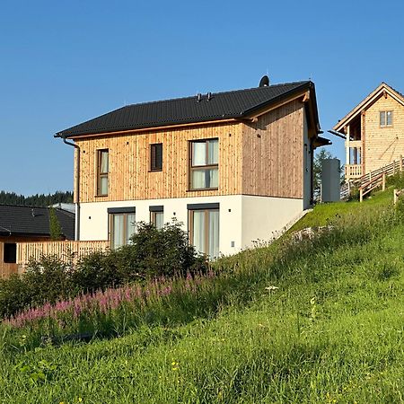 Berglisl - Direkt An Der Schipiste! Neue Ferienwohnung Mit Sauna Klippitztorl Екстериор снимка